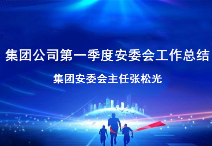 集團公司第一季度安委會工作總結